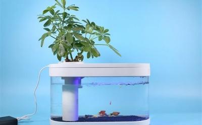 Xiaomi Fish Tank website