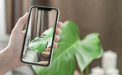 Tips to Edit Live Photos on iPhone Like a Pro