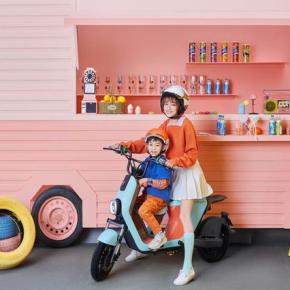 Ninebot emoped body 1