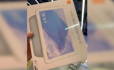 Smart Display Speaker Pro 8 leak website