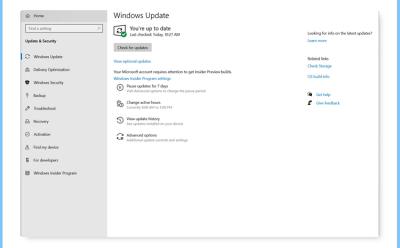 windows 10 optional updates