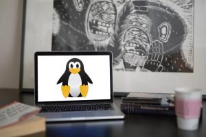 Linux Kernel Will Stop Using 'Master/Slave', and 'Blacklist/Whitelist' in Code