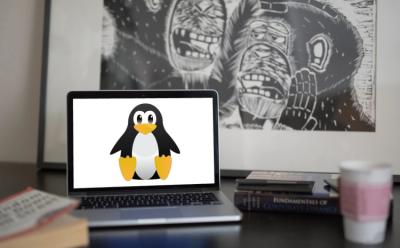 10 Best Linux Apps on Chromebook You Should Use