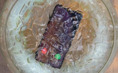 10 Best Waterproof Cases for iPhone 11 Pro in 2020