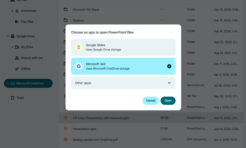Google Docs and Microsoft 365 extensions Chromebook file manager
