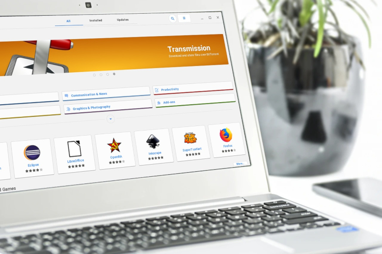 How to Install Flatpak and Snap App Store in Linux on Chromebook [GUI]