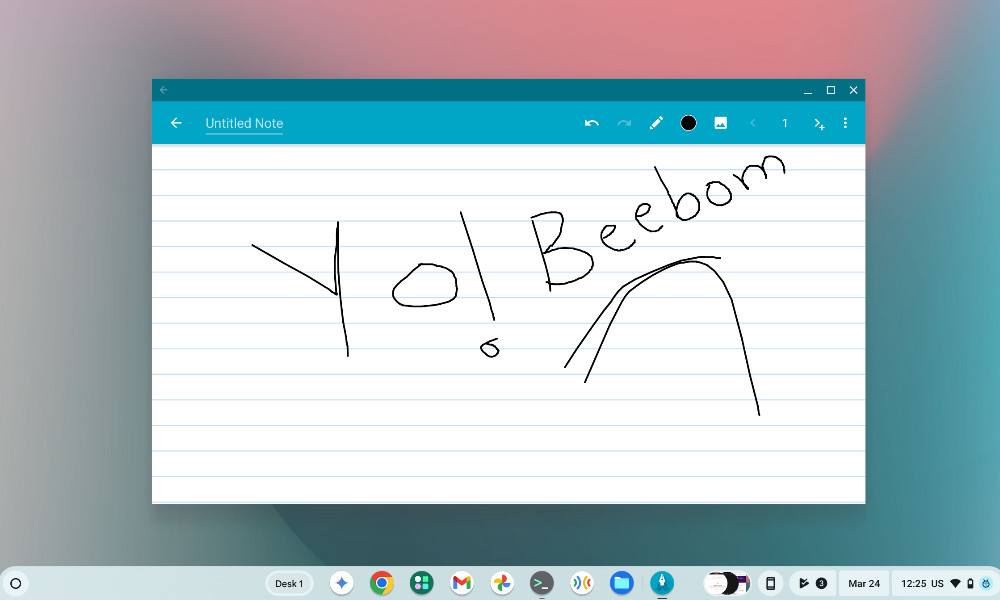 Squid Android app on ChromeoS