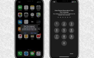 'Trust This Computer' Alert Not Showing Up on iPhone? Here's a Fix