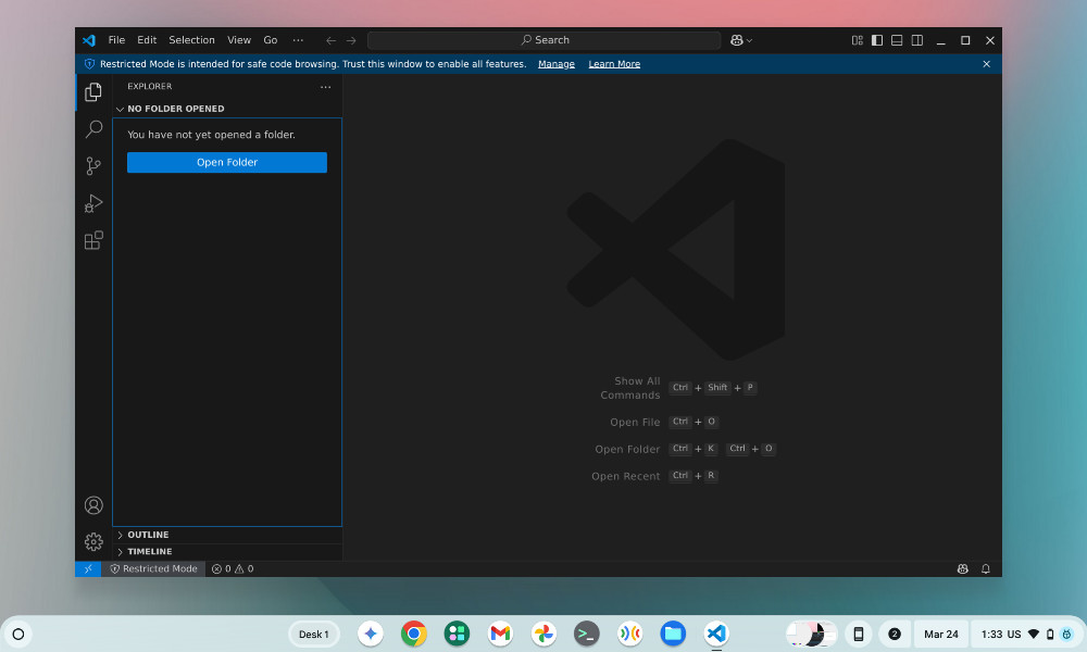 VS Code Linux app on ChromeOS