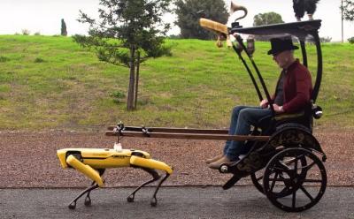 Adam savage spot dog feat.