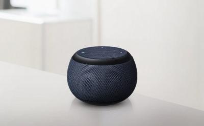Galaxy Home Mini website