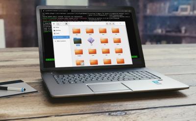 How to Run GUI-based Linux Programs on Windows 10