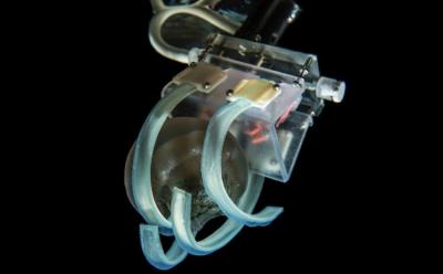 jellyfish gripper feat.