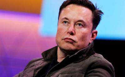 Elon musk donates feat.