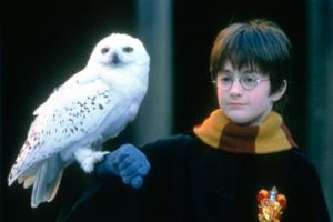 Listen to Harry Potter Read You the First Harry Potter Book on Spotify