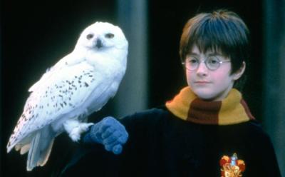 Harry Potter book reading