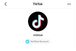 How to Get Verified Badge on TikTok