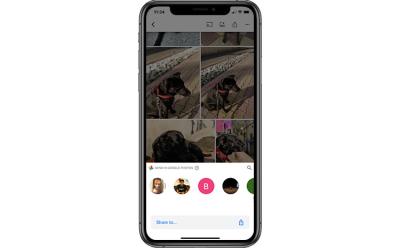 google photos album sharing