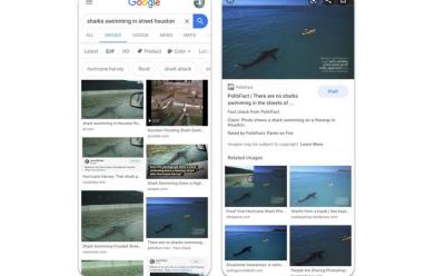 Fact Checking website