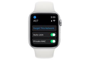 watchOS 7 Brings Private MAC Addresses to the Apple Watch