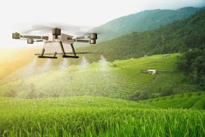 India Permits to Fly Drones to Combat Locust Attack