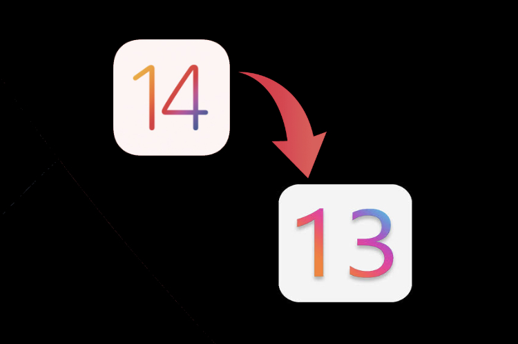 How to Downgrade from iOS 14 Developer Beta to iOS 13