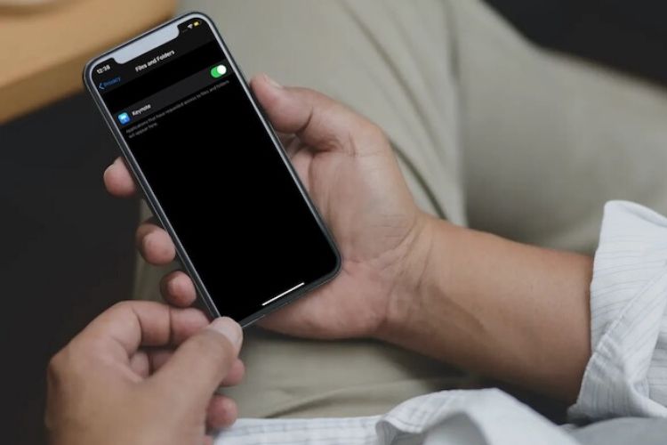 How to Manage Files Access of Apps in iOS 14 and iPadOS 14