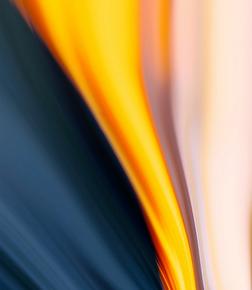 Nord Wallpaper 6 body