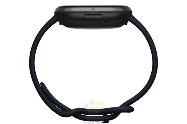 Fitbit Sense body (4)