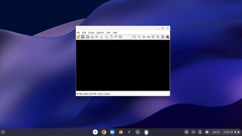 irfanview windows app running on chromebook