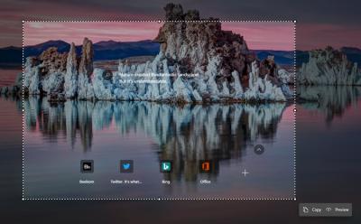 Microsoft Adds Web Capture Tool on Edge Canary and Dev