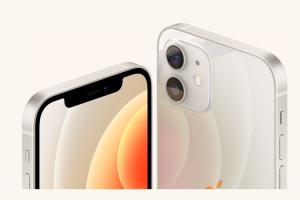 12 Best iPhone 12 Cases and Covers You Can Buy