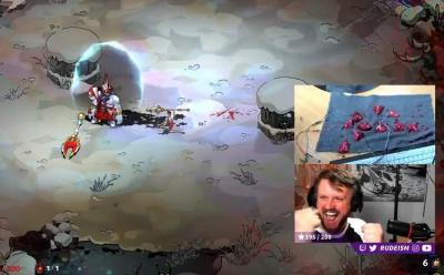Twitch streamer built controller with pomegranate