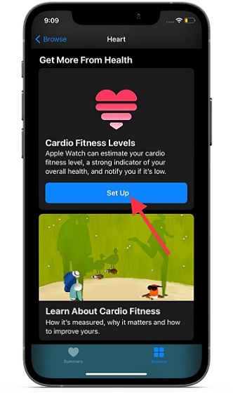 Set up cardio fitness levels