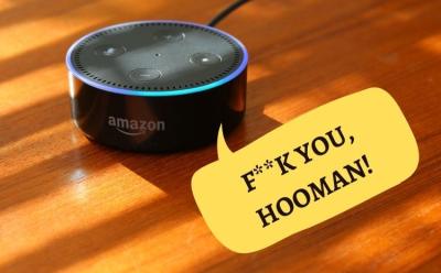 how to make alexa swear