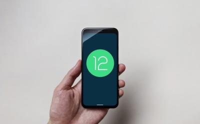 When Will My Phone Get Android 12 Update?