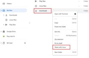 How to Run Linux on Chromebook in 2023 | Beebom