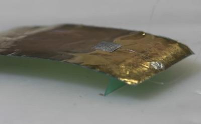 Researchers Built a Tiny, Cockroach-Inspired Robot