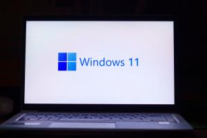 How to Remove Microsoft Account from Windows 11 PC
