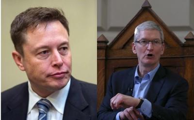 Here Is Why Apple's Tim Cook Said “F*** You” to Elon Musk