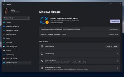 Windows 11 Insider Preview Build 22000.65