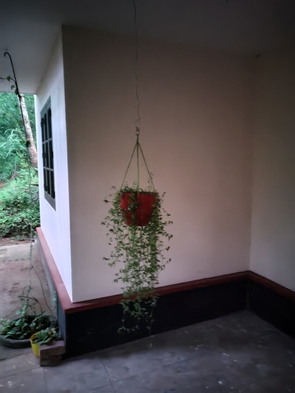 low light with night mode sample 1