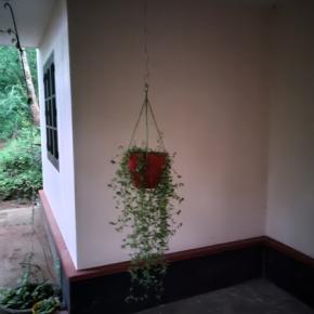 low light with night mode sample 1