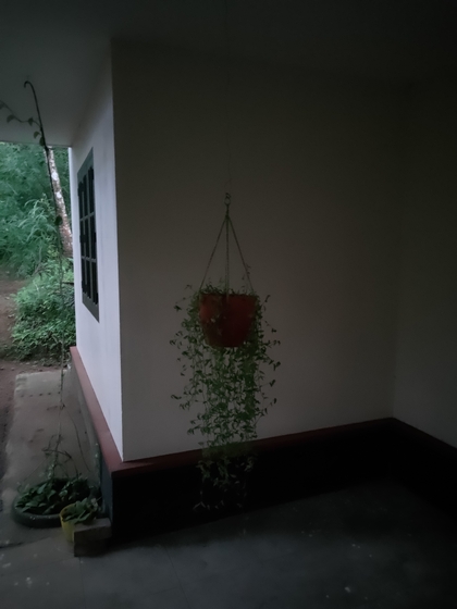 low light without night mode sample 2