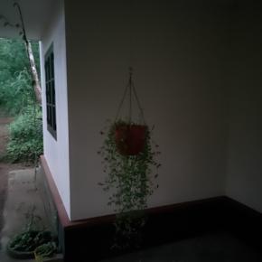 low light without night mode sample 2