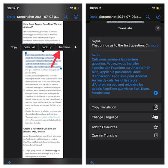 translate PDF text