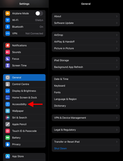 Accessibility ipad screenshot