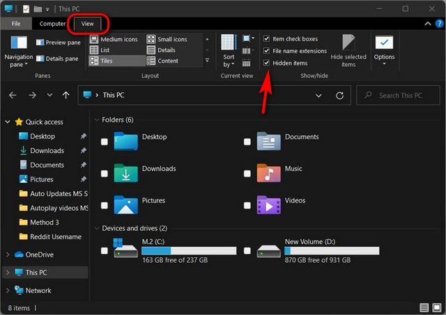 How to Show Hidden Files and Folders in Windows 11 [Guide] | Beebom