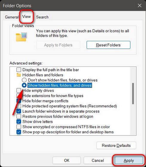 Show Hidden Files and Folders in Windows 11