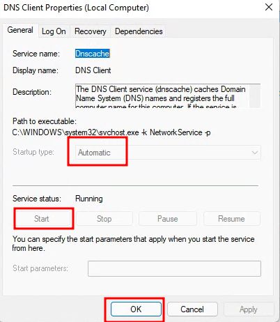 dns client